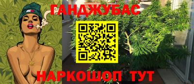 спиды Будённовск