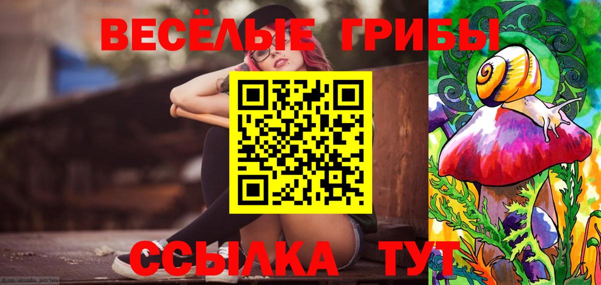 Псилоцибиновые грибы Psilocybe Отрадный